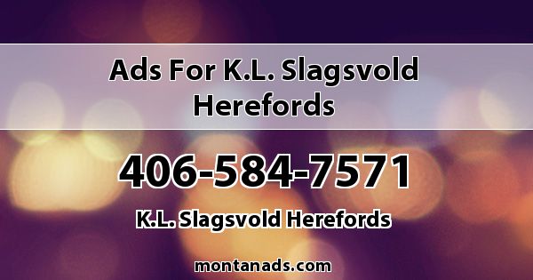 Ads for K.L. Slagsvold Herefords